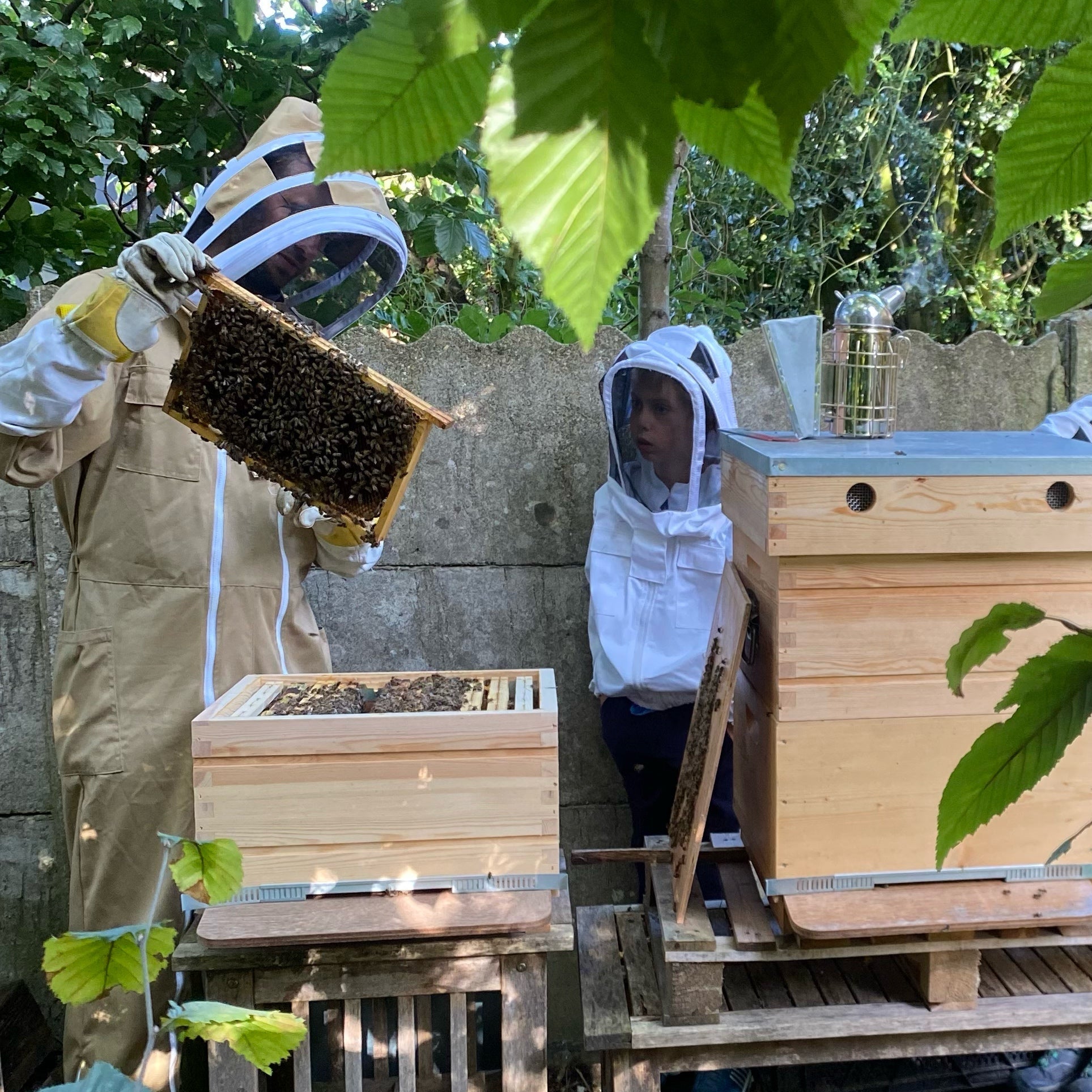 Jack, imker uit Waregem - van uurwerkmaker naar lokale bijenhouder met 5 actieve bijenkasten