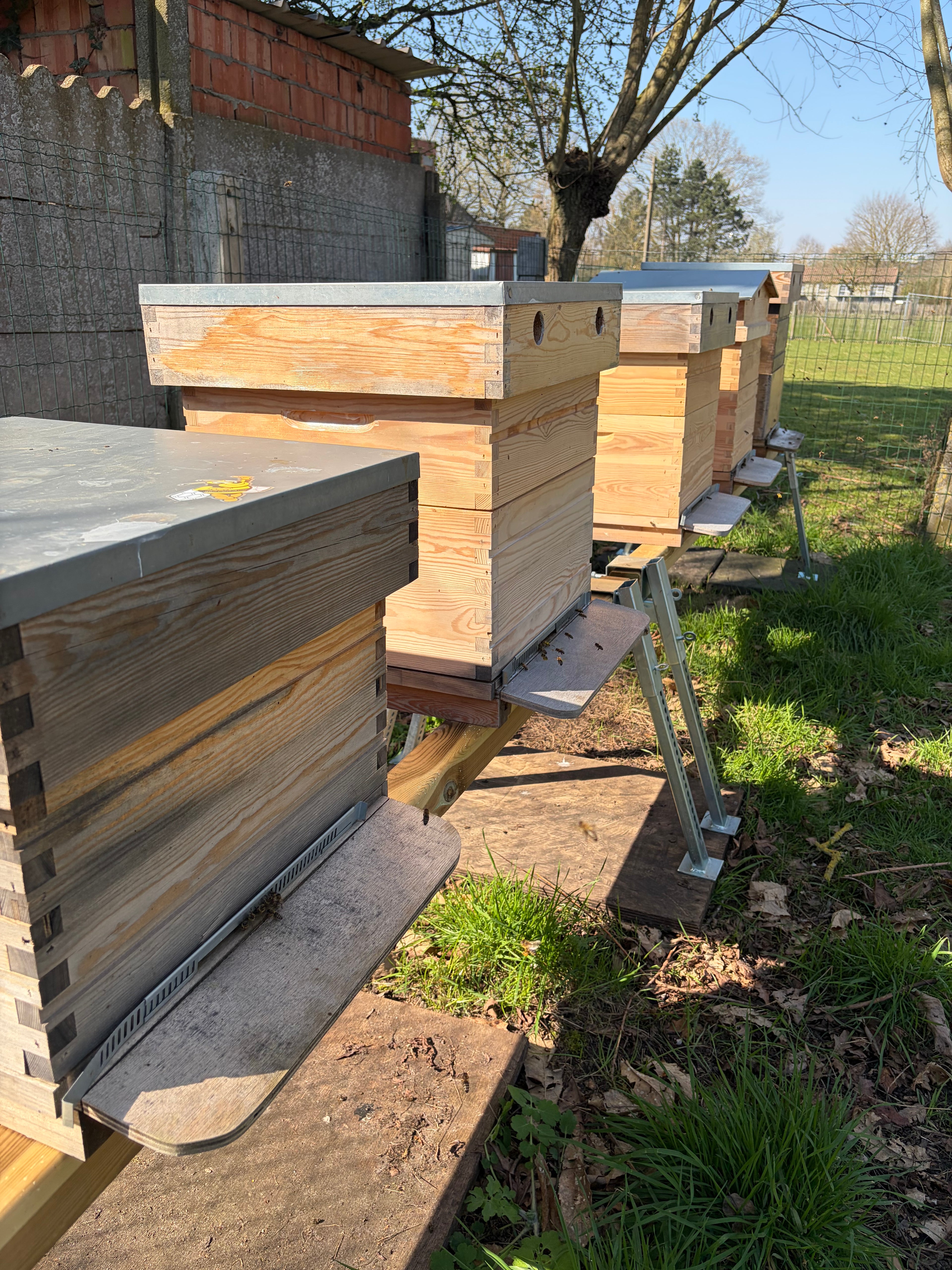 Jack The Beekeeper - lokale imker uit Waregem met bijenkasten in West-Vlaanderen