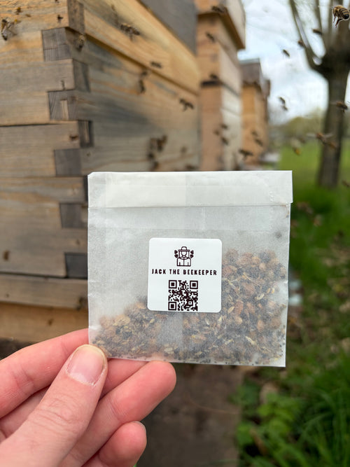 Bijenvriendelijk bloemenzaad zakje 5g - Jack The Beekeeper Waregem